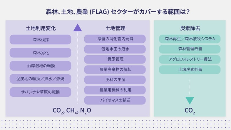 (JP) What Does the Forestry Land Use and Agriculture FLAG Sector Cover 3