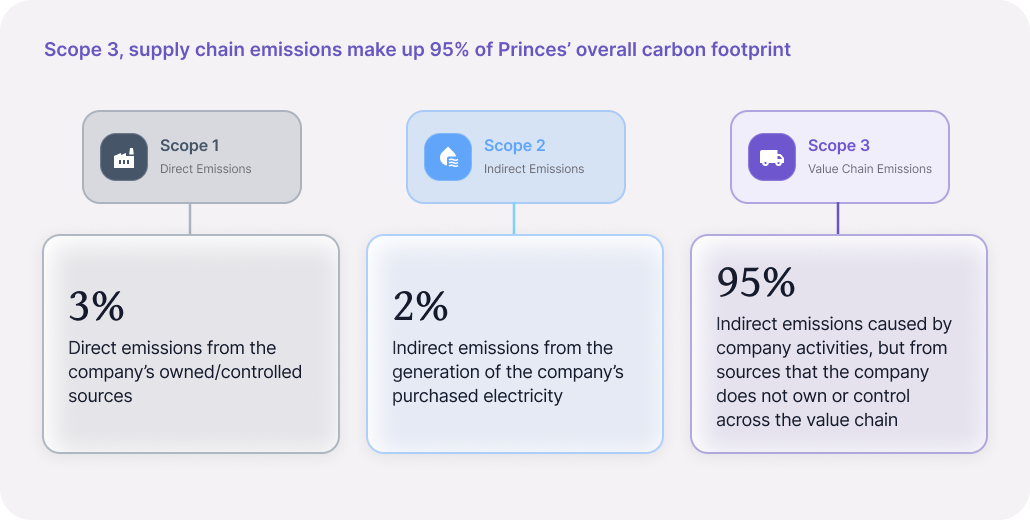 Princes Case Study - 01