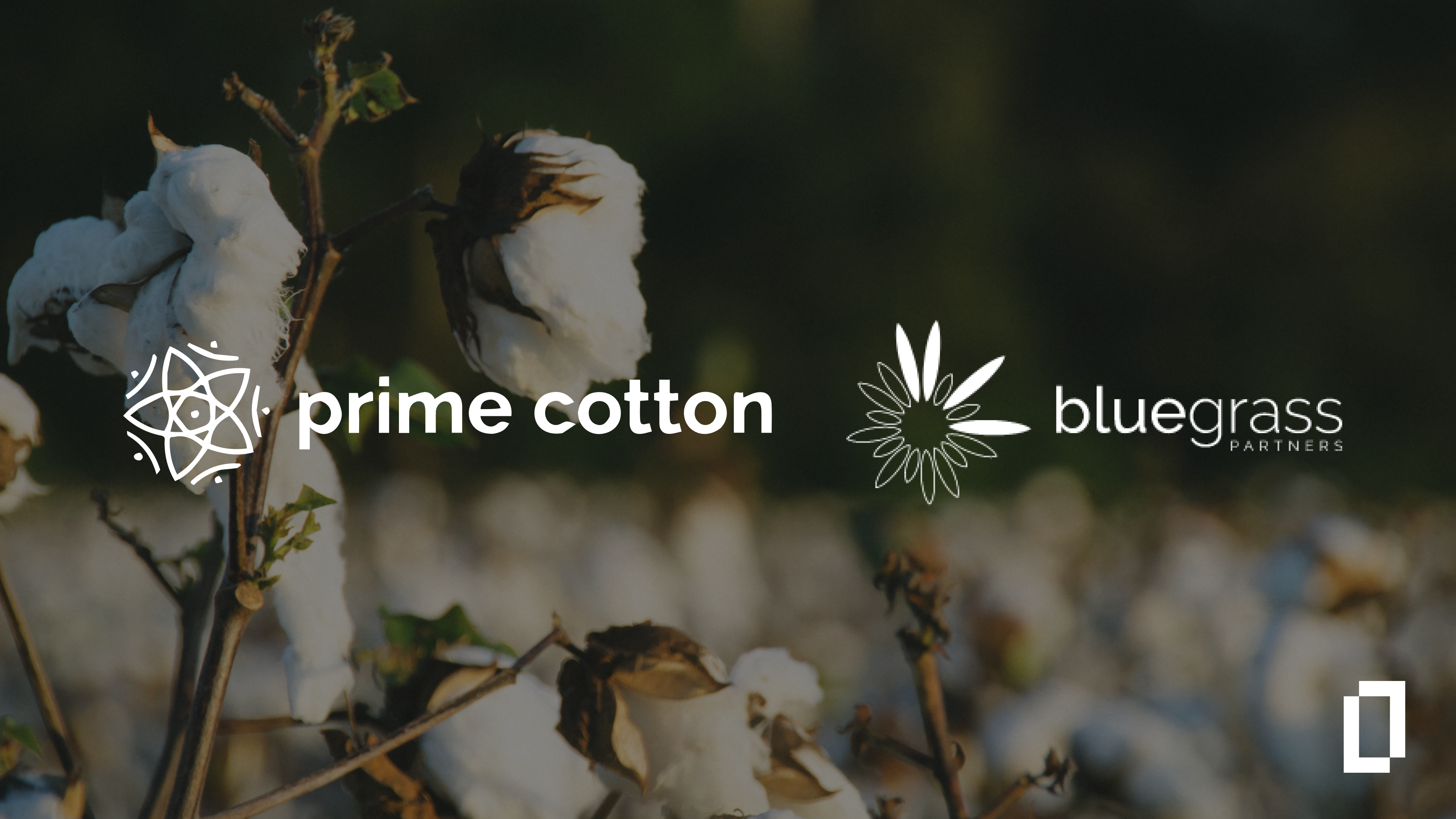 Prime Cotton: Visualising upstream emissions across a 45,000 hectare footprint