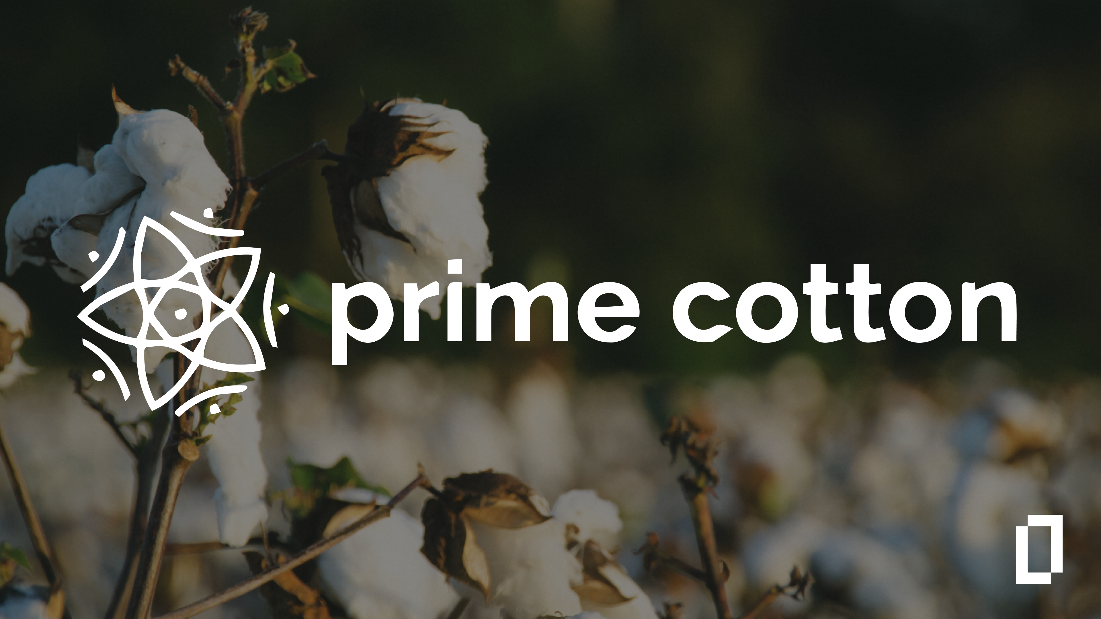 Prime Cotton: Visualising Upstream Emissions across a 45,000 Hectare Footprint