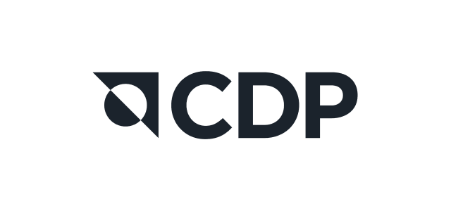 partnerships-cdp-v2